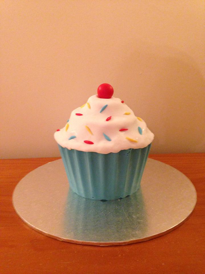 1240264_10151808035564463_1688643197_n