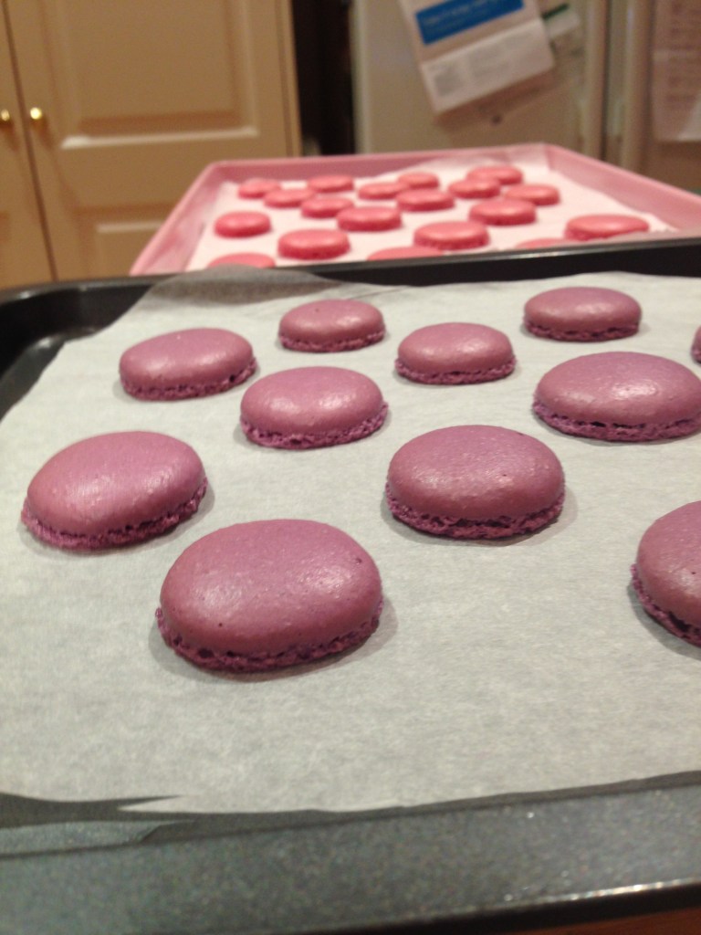 Elise August 2015 087