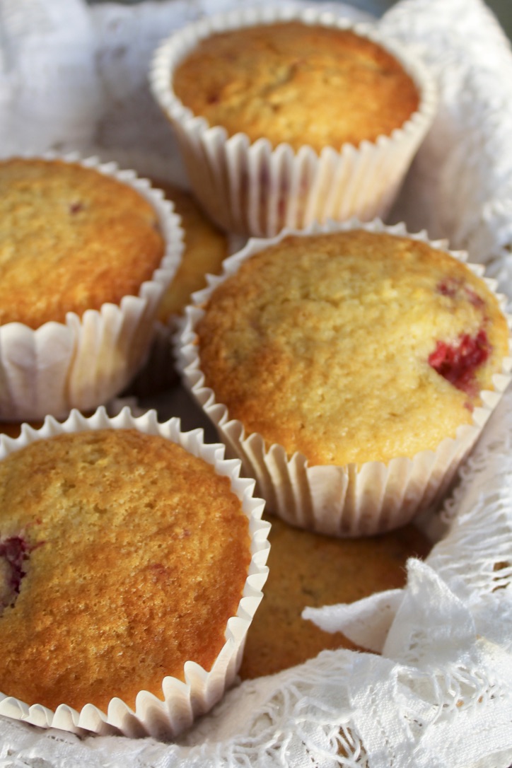 %etvstgDQp6kJpBNRrG4xQ_thumb_1e