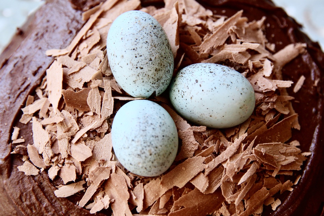 2CA73BE1-E883-4540-9DFD-F49E567F92EC_1_105_c